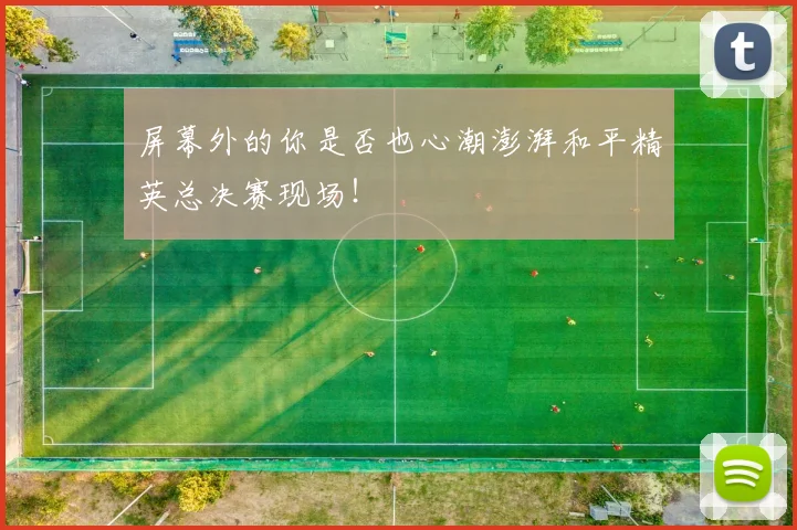 屏幕外的你是否也心潮澎湃和平精英总决赛现场！