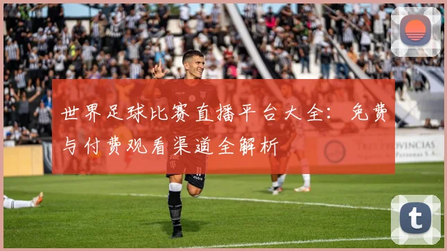 世界足球比赛直播平台大全:免费与付费观看渠道全解析